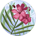 Christine Jessop profile picture